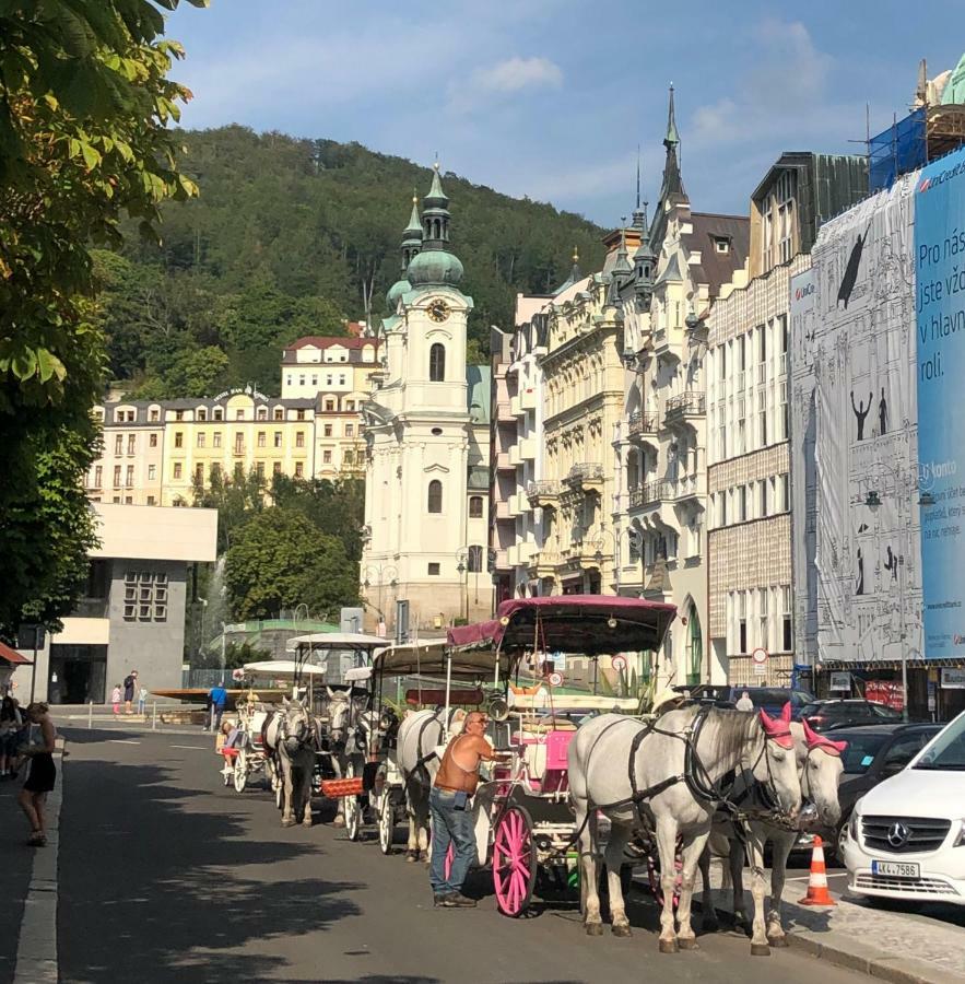 Apartman Orchidej U Vridla Apartment Karlovy Vary Exterior photo